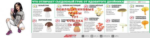 ПСИЛОЦИБИНОВЫЕ ГРИБЫ Сосновоборск
