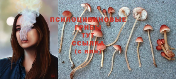 ECSTASY Сосновка