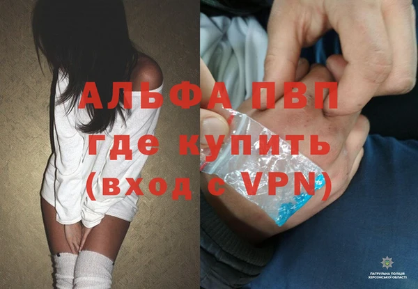 PSILOCYBIN Почеп