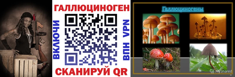Галлюциногенные грибы мицелий  дарнет шоп  Терек 